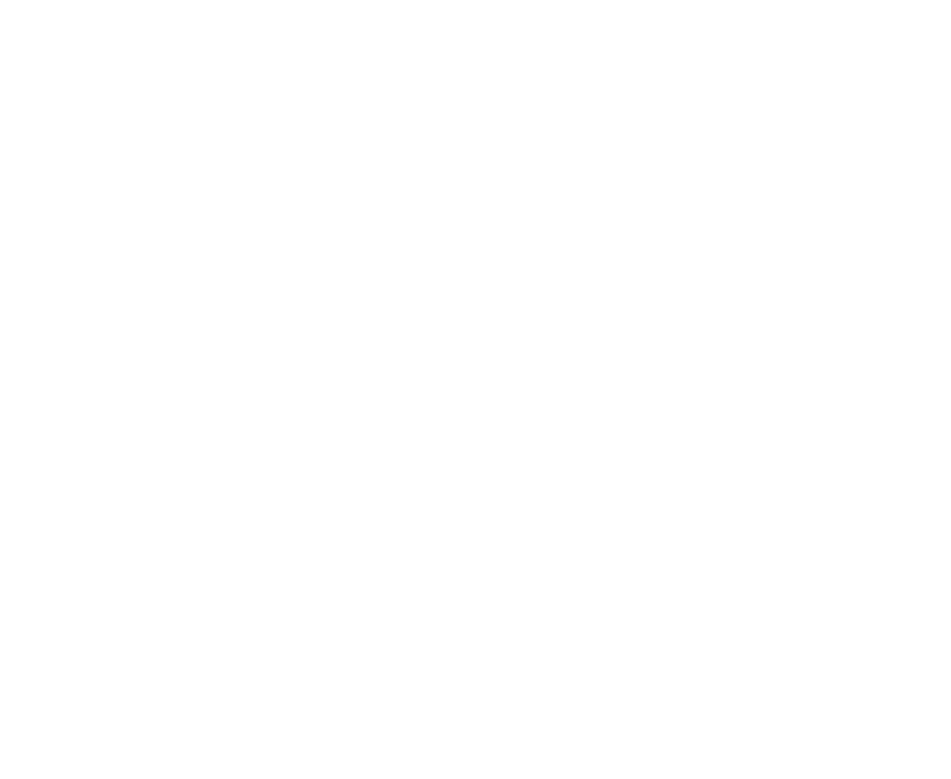 logo light